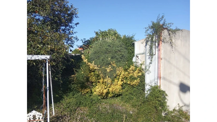 Armazém para Venda em Mafamude e Vilar do Paraíso Foto 4