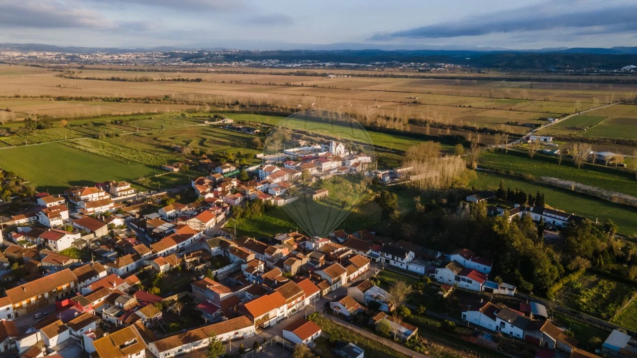 Armazém para Venda em São Martinho de Árvore e Lamarosa Foto 15