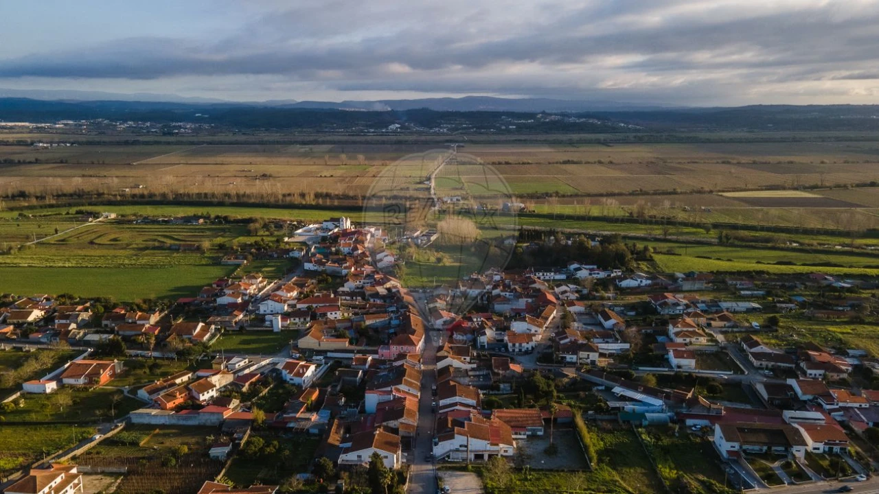 Armazém para Venda em São Martinho de Árvore e Lamarosa Foto 8