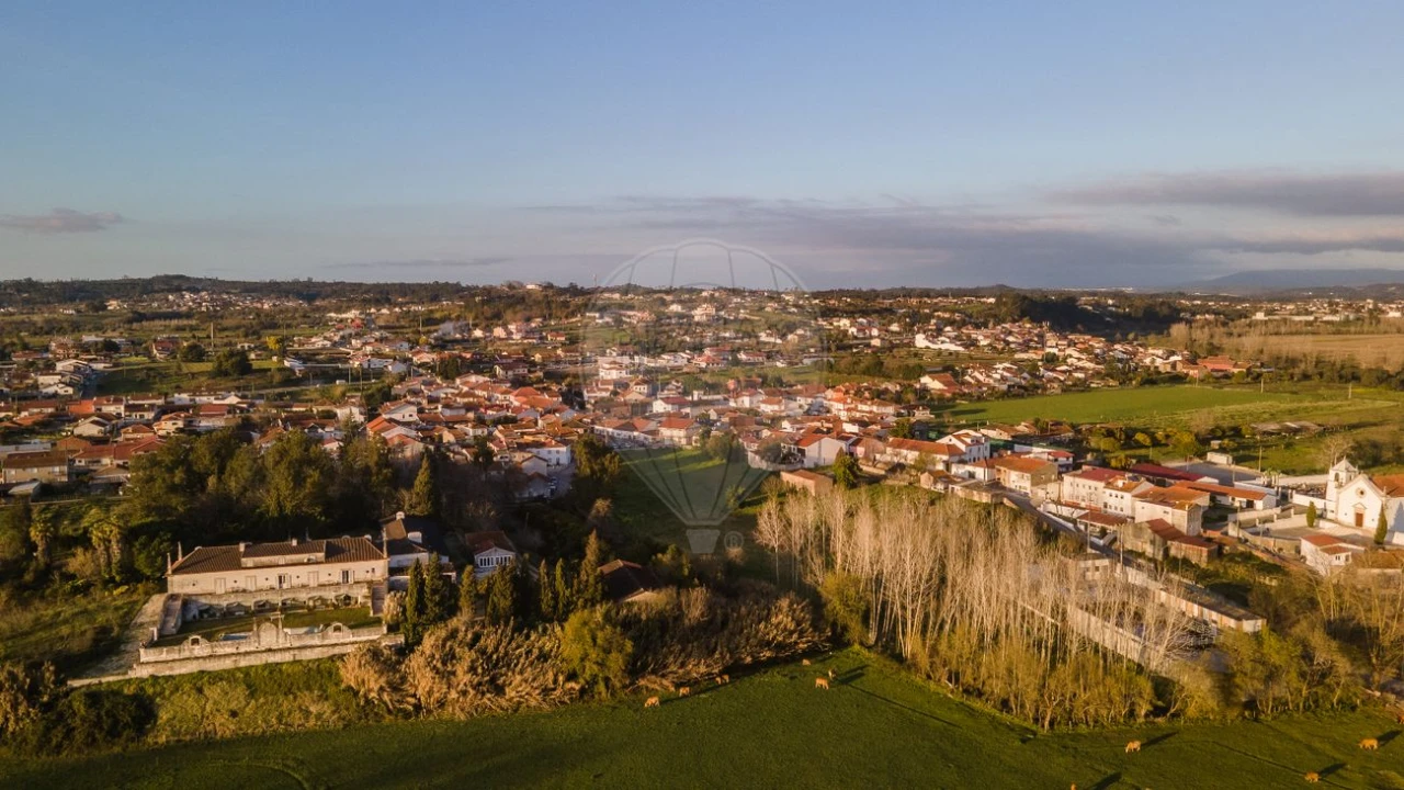 Armazém para Venda em São Martinho de Árvore e Lamarosa Foto 14
