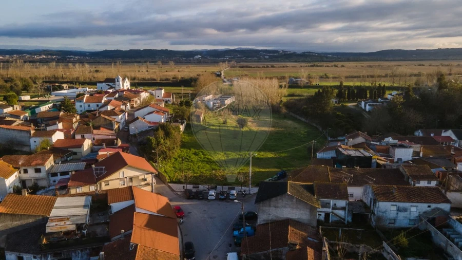 Armazém para Venda em São Martinho de Árvore e Lamarosa Foto 13