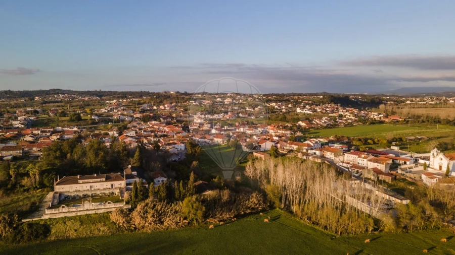 Armazém para Venda em São Martinho de Árvore e Lamarosa Foto 14