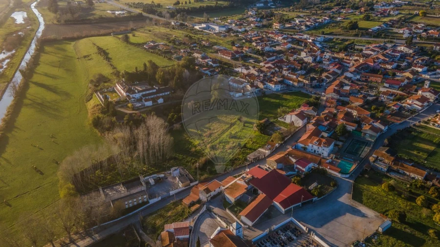 Armazém para Venda em São Martinho de Árvore e Lamarosa Foto 3