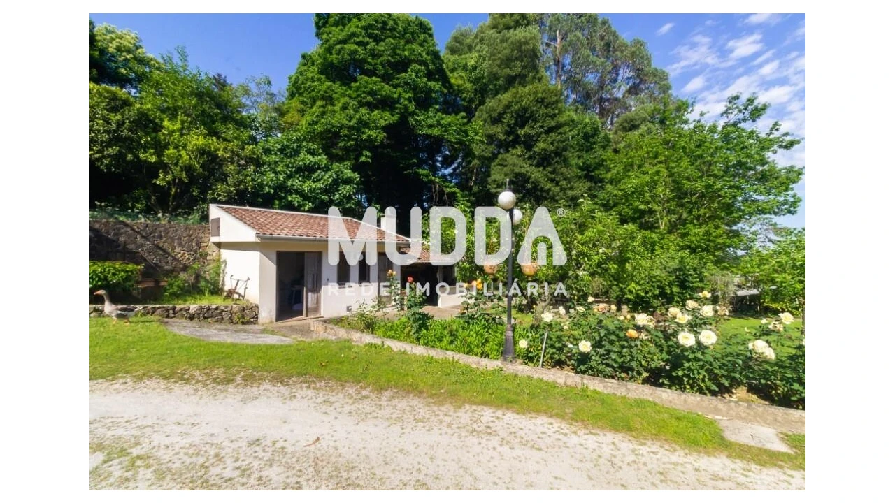 Quinta T4 para Venda em São João de Ver Foto 29