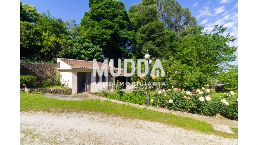 Quinta T4 para Venda em São João de Ver Foto 29