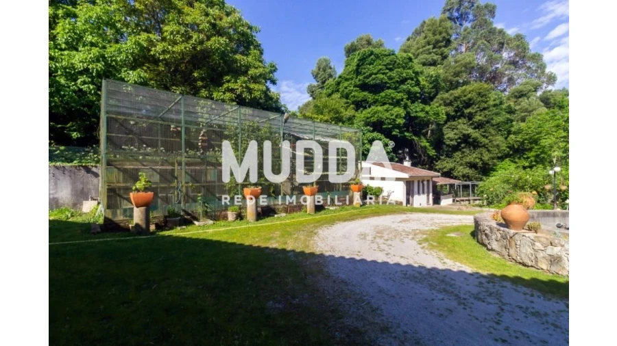 Quinta T4 para Venda em São João de Ver Foto 30