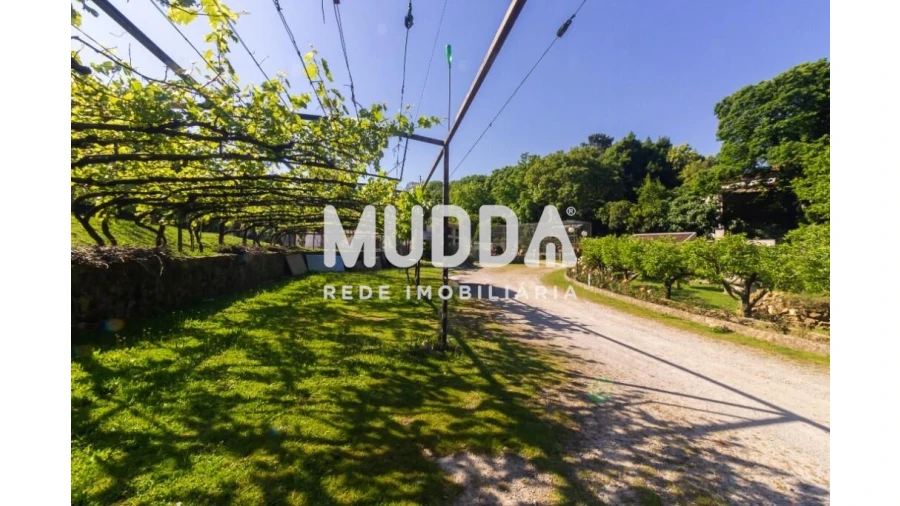 Quinta T4 para Venda em São João de Ver Foto 25