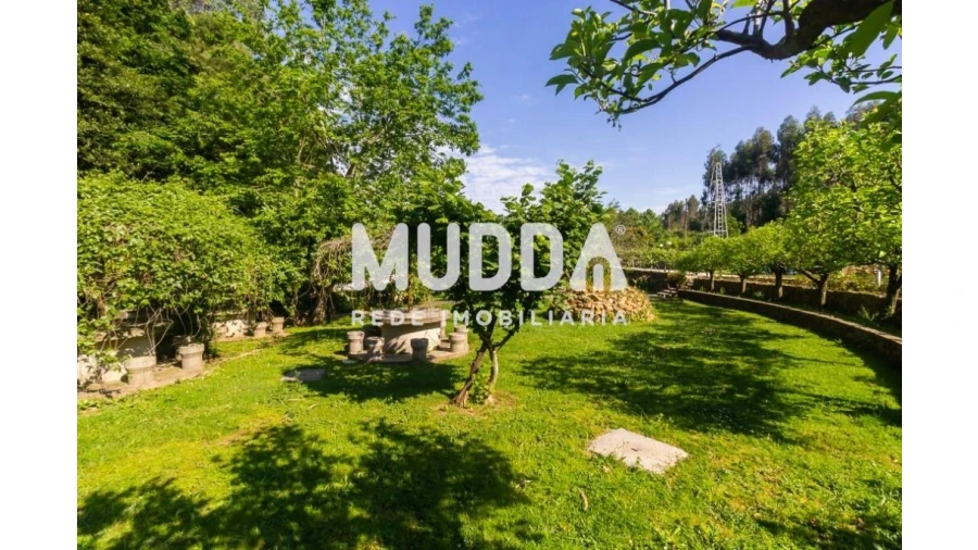 Quinta T4 para Venda em São João de Ver Foto 28