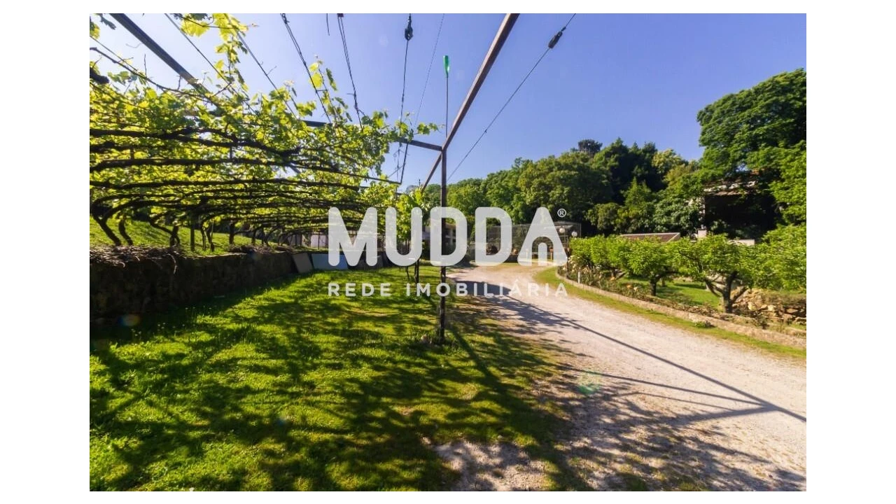 Quinta T4 para Venda em São João de Ver Foto 25