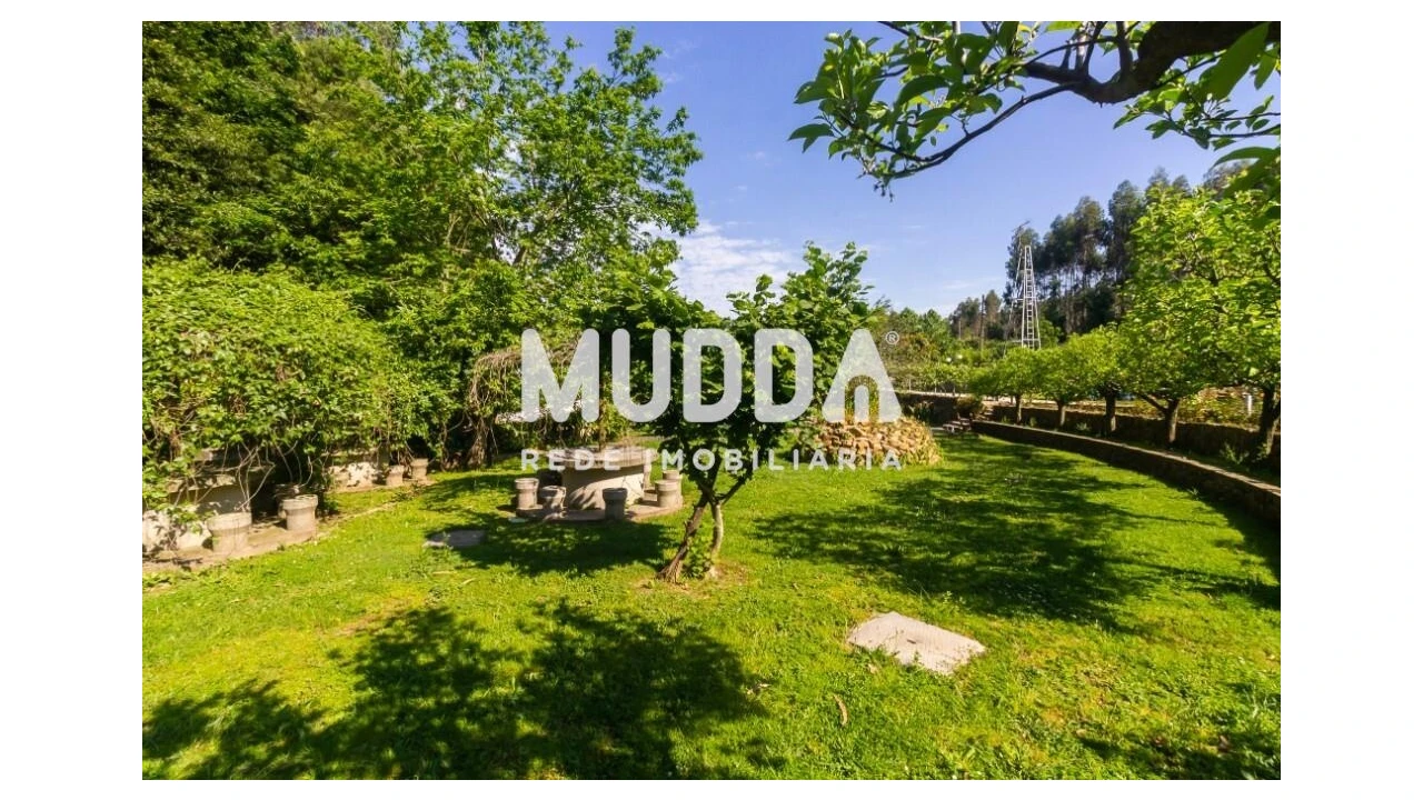 Quinta T4 para Venda em São João de Ver Foto 28