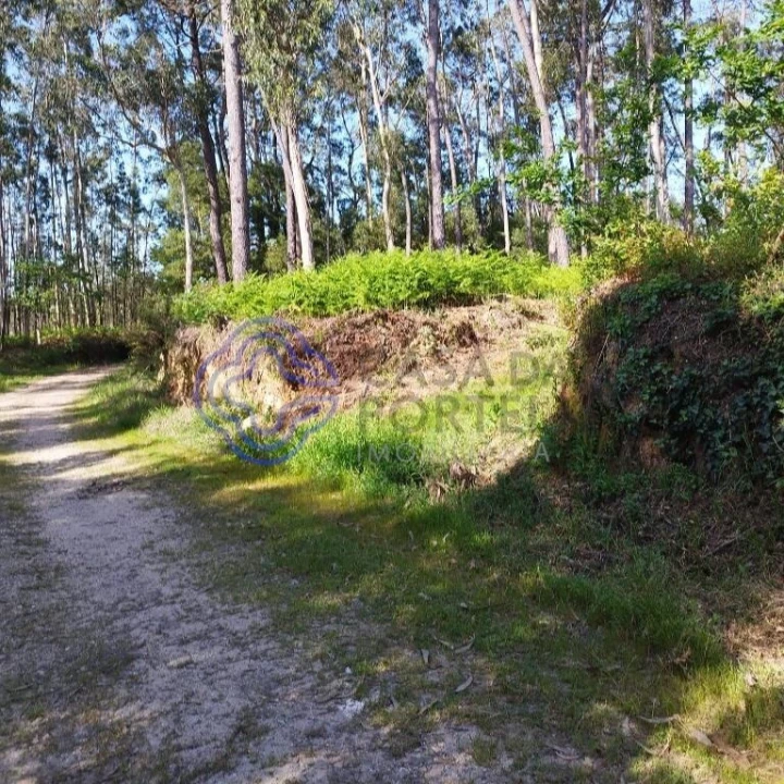 Terreno para Venda em São Miguel do Souto e Mosteirô Foto 5