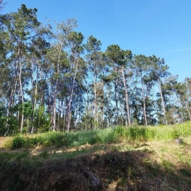 Terreno para Venda em São Miguel do Souto e Mosteirô