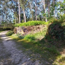 Terreno para Venda em São Miguel do Souto e Mosteirô