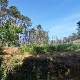 Terreno para Venda em São Miguel do Souto e Mosteirô