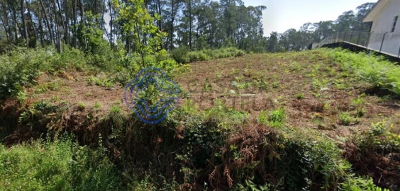 Terreno para Venda em São Miguel do Souto e Mosteirô