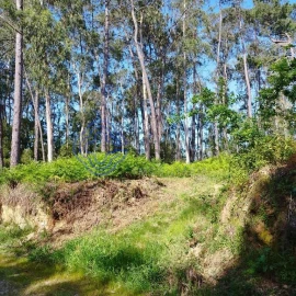 Terreno para Venda em São Miguel do Souto e Mosteirô