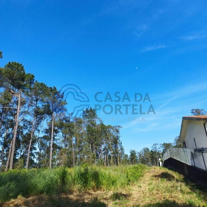 Terreno para Venda em São Miguel do Souto e Mosteirô Foto 4