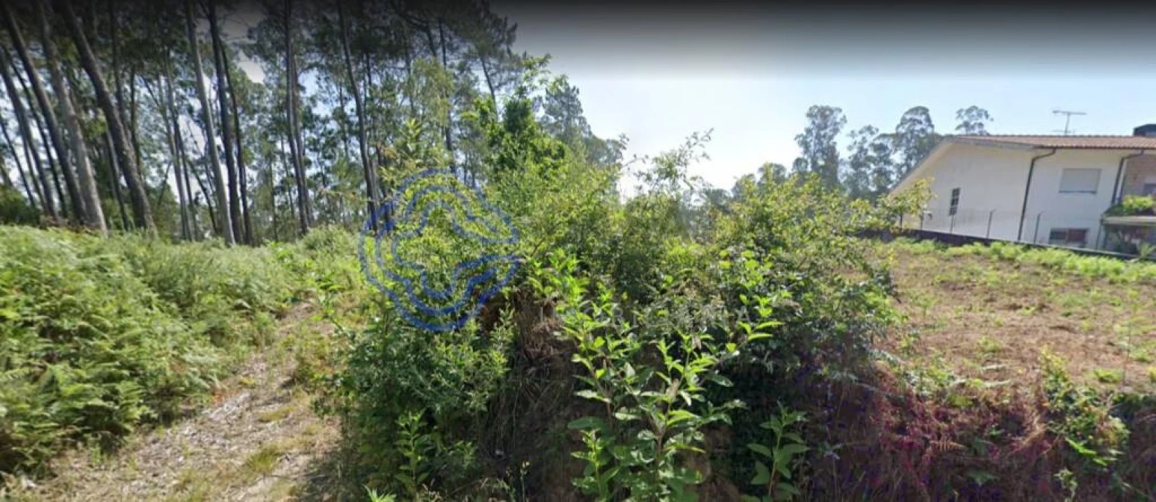 Terreno para Venda em São Miguel do Souto e Mosteirô Foto 21