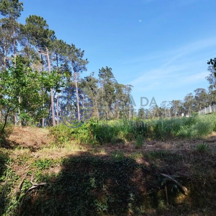 Terreno para Venda em São Miguel do Souto e Mosteirô Foto 6