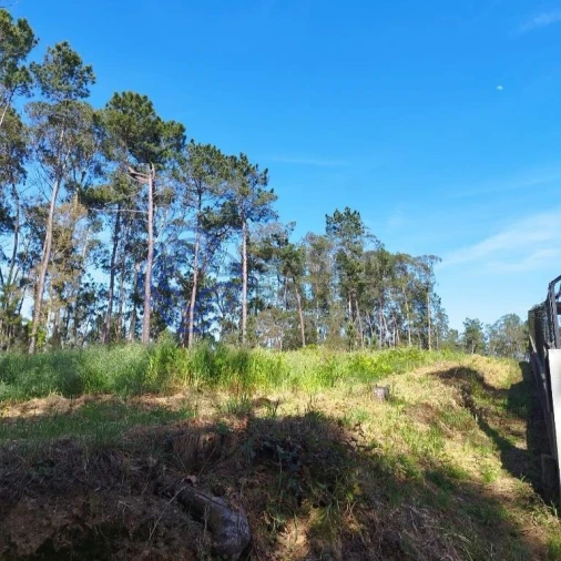 Terreno para Venda em São Miguel do Souto e Mosteirô Foto 3