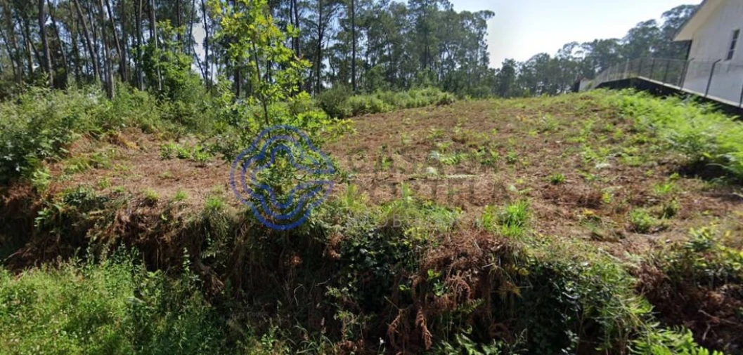 Terreno para Venda em São Miguel do Souto e Mosteirô Foto 11