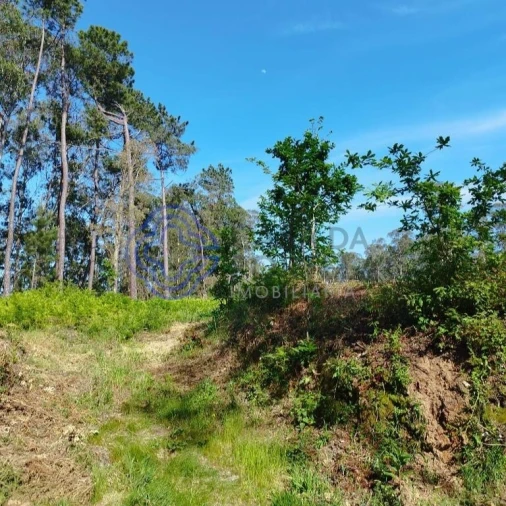 Terreno para Venda em São Miguel do Souto e Mosteirô Foto 8