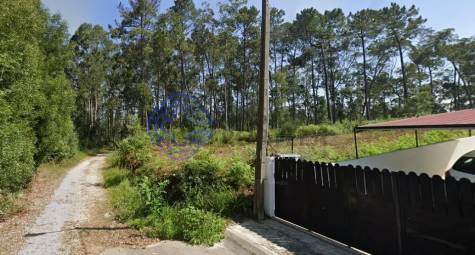 Terreno para Venda em São Miguel do Souto e Mosteirô Foto 10