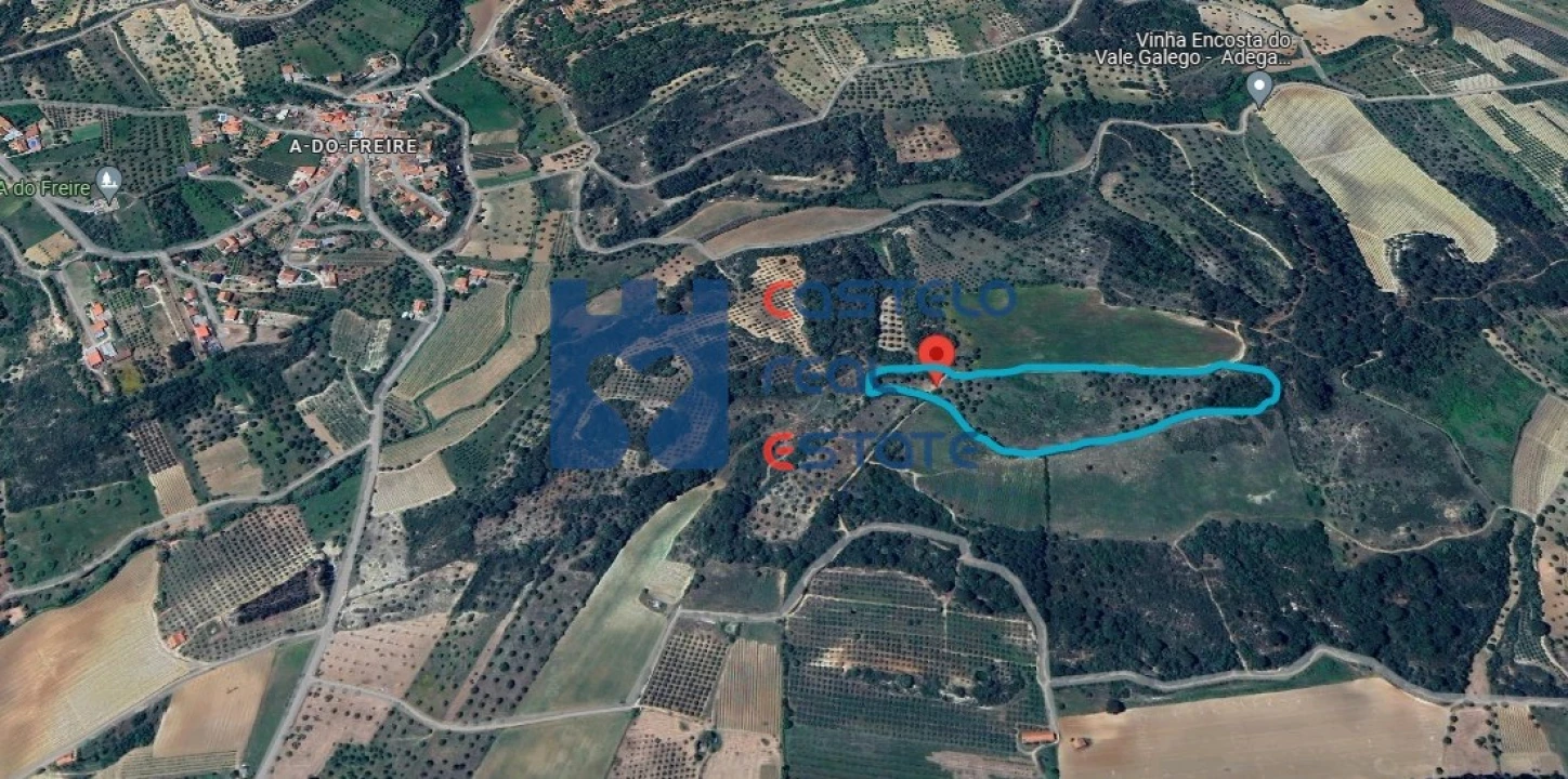 Terreno para Venda em Pedrogão Foto 13