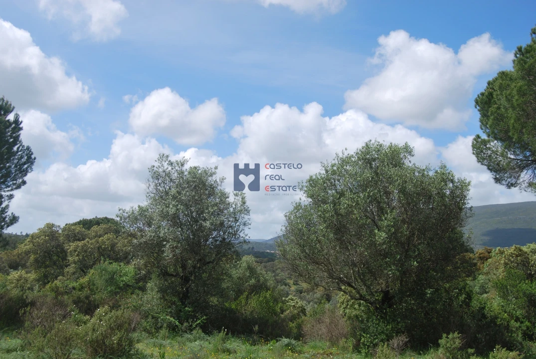 Terreno para Venda em Pedrogão Foto 10