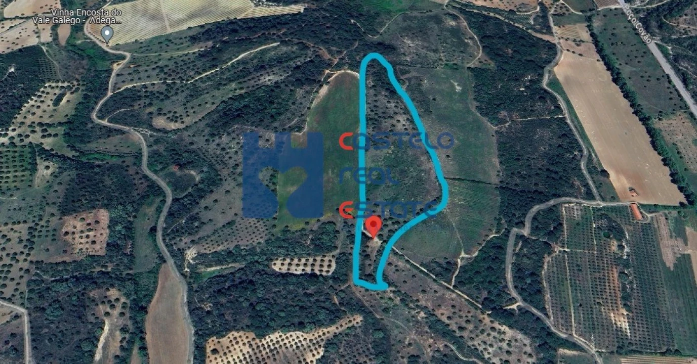 Terreno para Venda em Pedrogão Foto 14