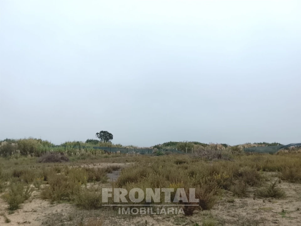 Terreno para Arrendamento em Perafita, Lavra e Santa Cruz do Bispo Foto 6