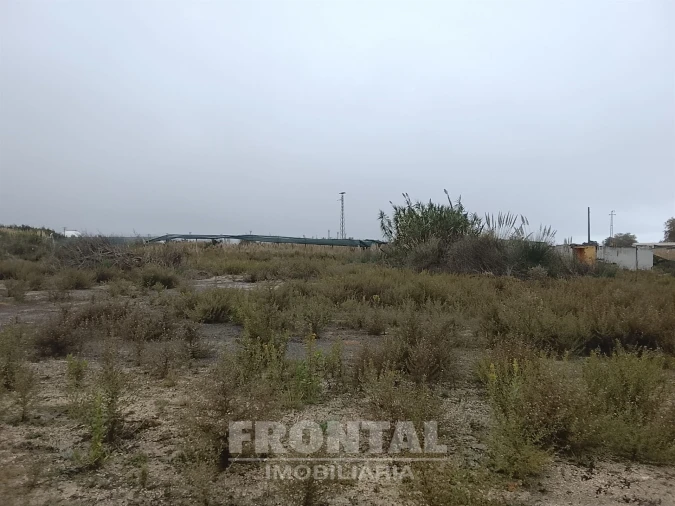 Terreno para Arrendamento em Perafita, Lavra e Santa Cruz do Bispo Foto 13