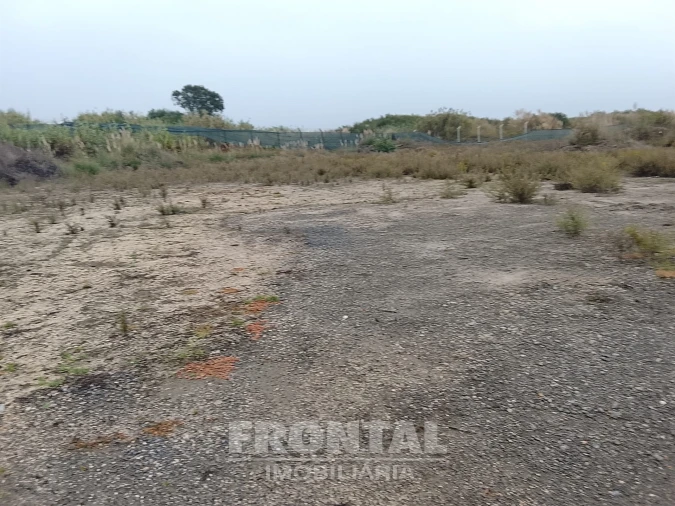 Terreno para Arrendamento em Perafita, Lavra e Santa Cruz do Bispo Foto 18
