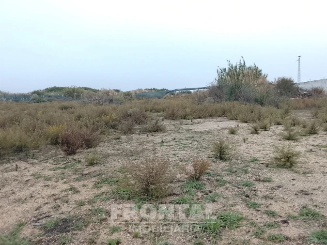 Terreno para Arrendamento em Perafita, Lavra e Santa Cruz do Bispo Foto 7