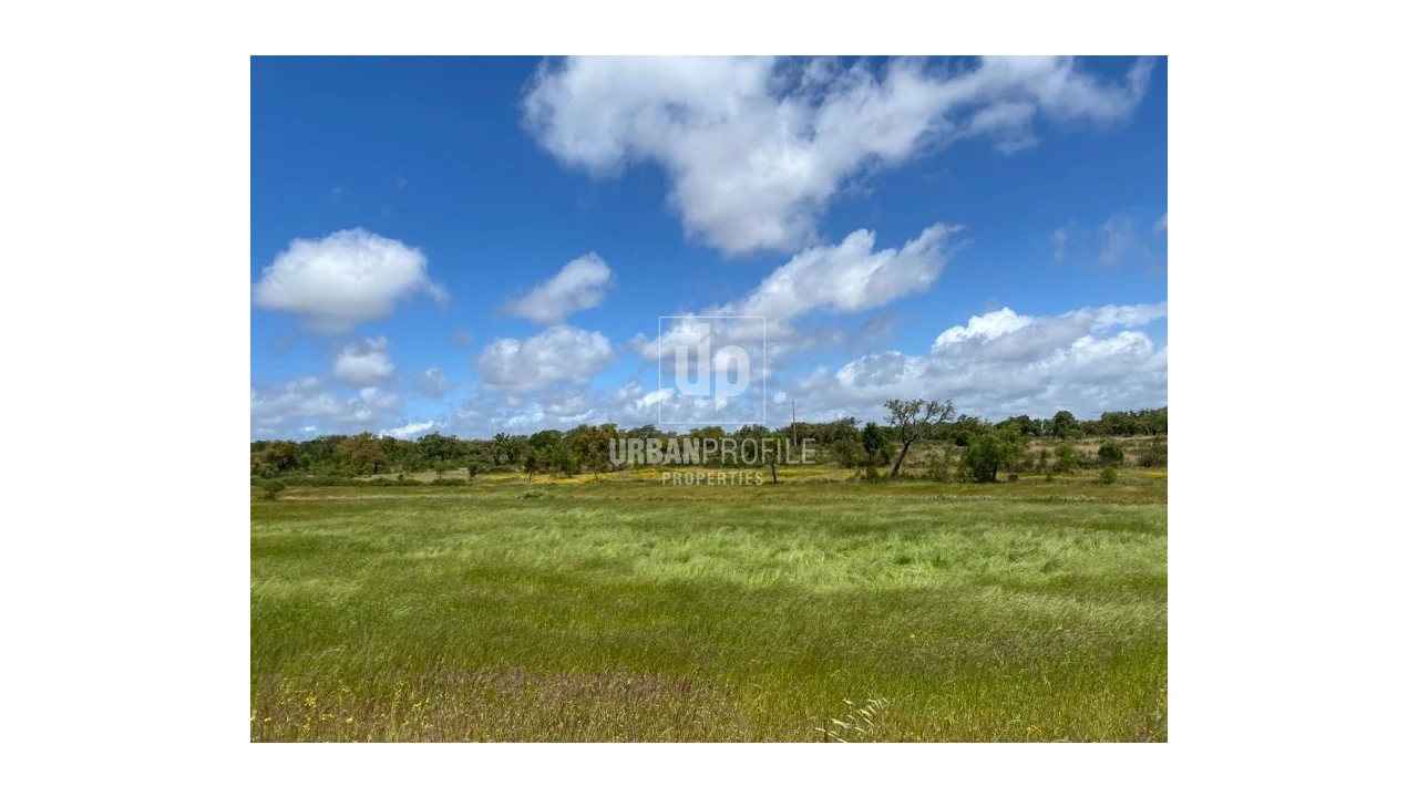 Terreno Agricola ou Rústico para Venda em Cercal Foto 1