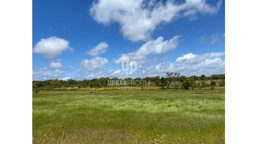 Terreno Agricola ou Rústico para Venda em Cercal Foto 1