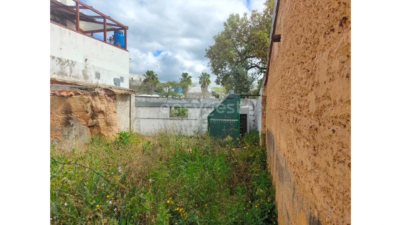 Loja para Venda em São Teotónio Foto 20