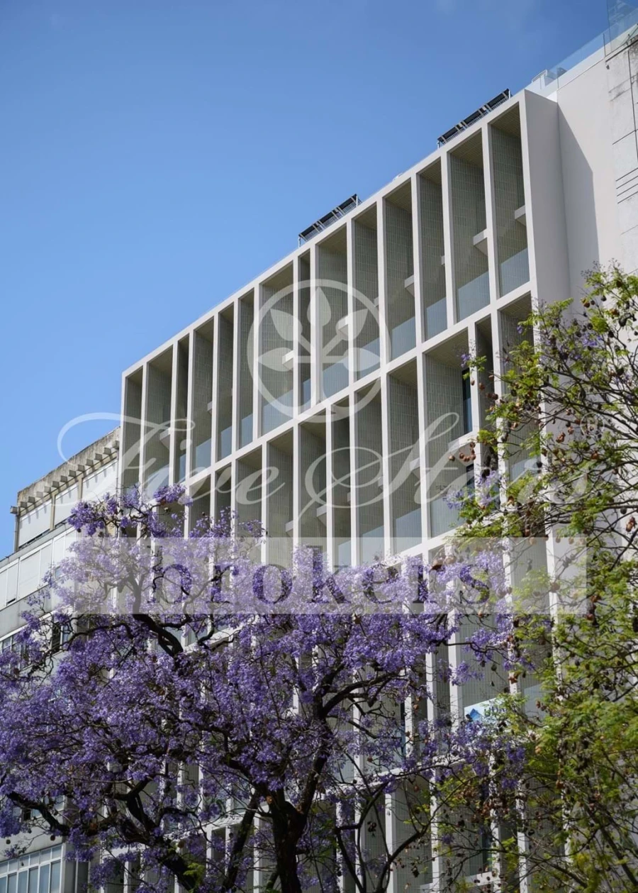 Moradia T4 para Venda em Avenidas Novas Foto 13