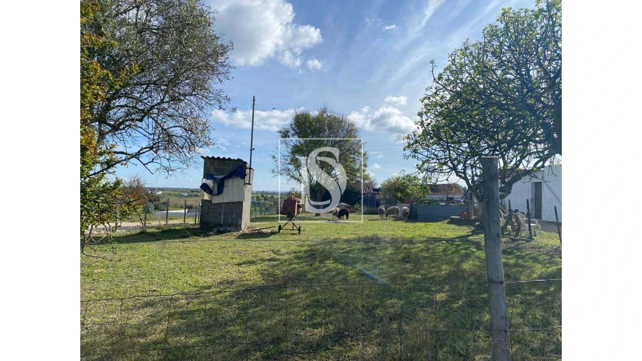 Terreno para Venda em Casével e Vaqueiros Foto 3