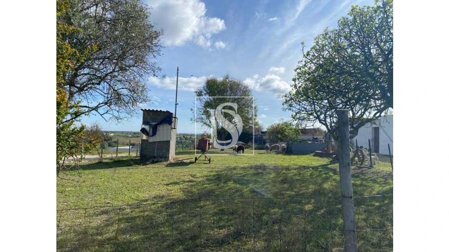 Terreno para Venda em Casével e Vaqueiros Foto 3
