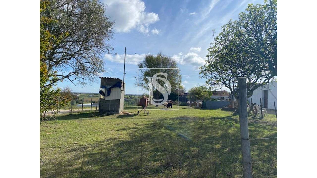 Terreno para Venda em Casével e Vaqueiros Foto 1