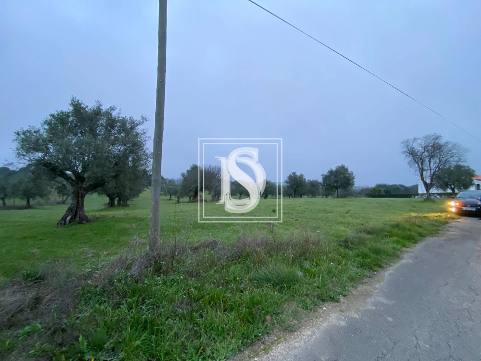 Terreno para Venda em Casével e Vaqueiros Foto 5