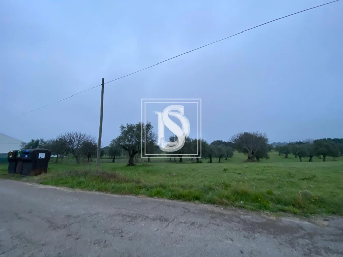 Terreno para Venda em Casével e Vaqueiros Foto 3