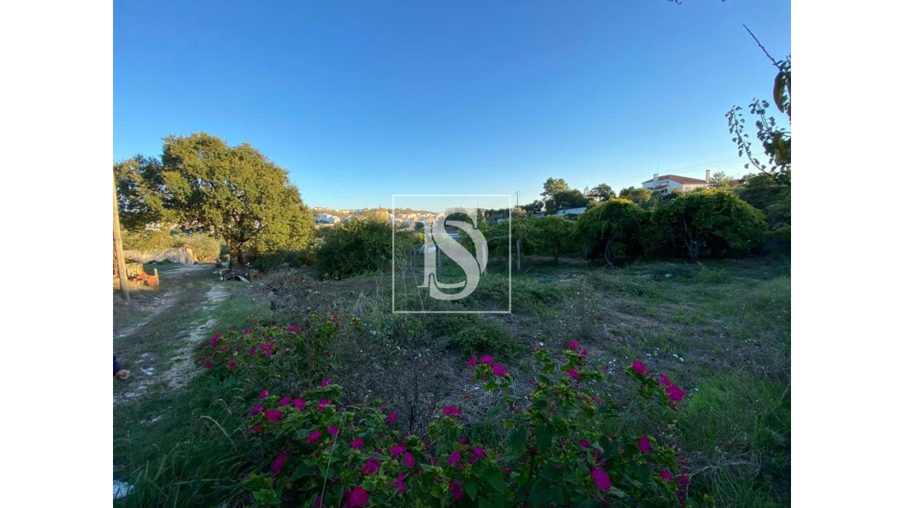 Terreno para Venda em Marvila, Ribeira Santarém, São Salvador, São Nicolau Foto 5