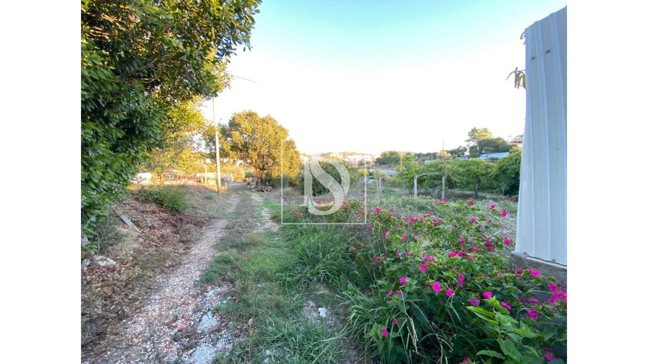 Terreno para Venda em Marvila, Ribeira Santarém, São Salvador, São Nicolau Foto 6