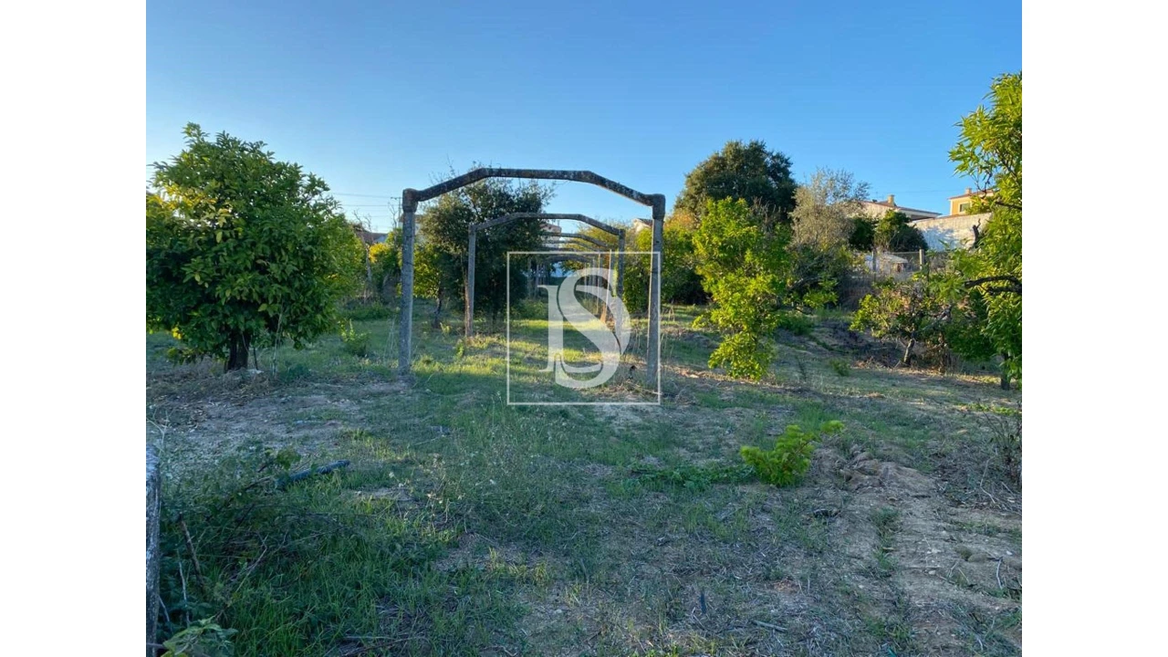 Terreno para Venda em Marvila, Ribeira Santarém, São Salvador, São Nicolau Foto 1