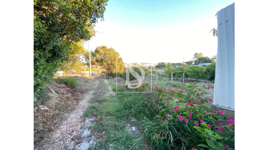 Terreno para Venda em Marvila, Ribeira Santarém, São Salvador, São Nicolau Foto 6