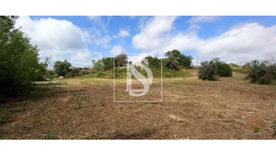 Quinta T2 para Venda em Romeira e Várzea Foto 3