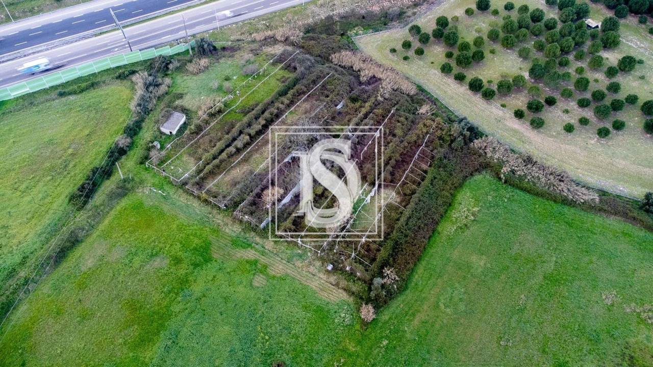 Terreno para Venda em Romeira e Várzea Foto 5