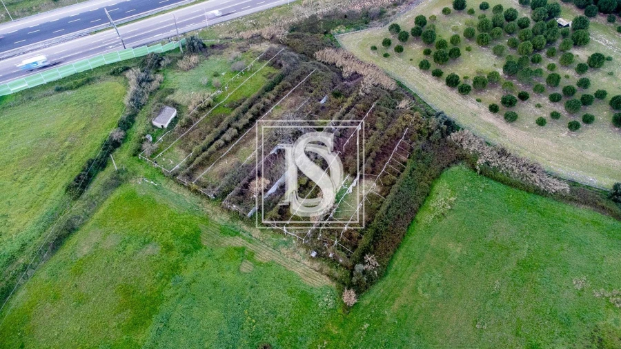 Terreno para Venda em Romeira e Várzea Foto 5